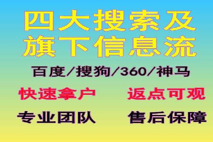行业领先！专业SEM托管的成功实践案例
